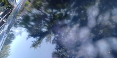 Reflection of trees on a shiny car hood under sunlight.