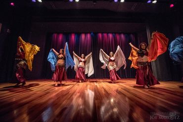 belly dancers in paradise