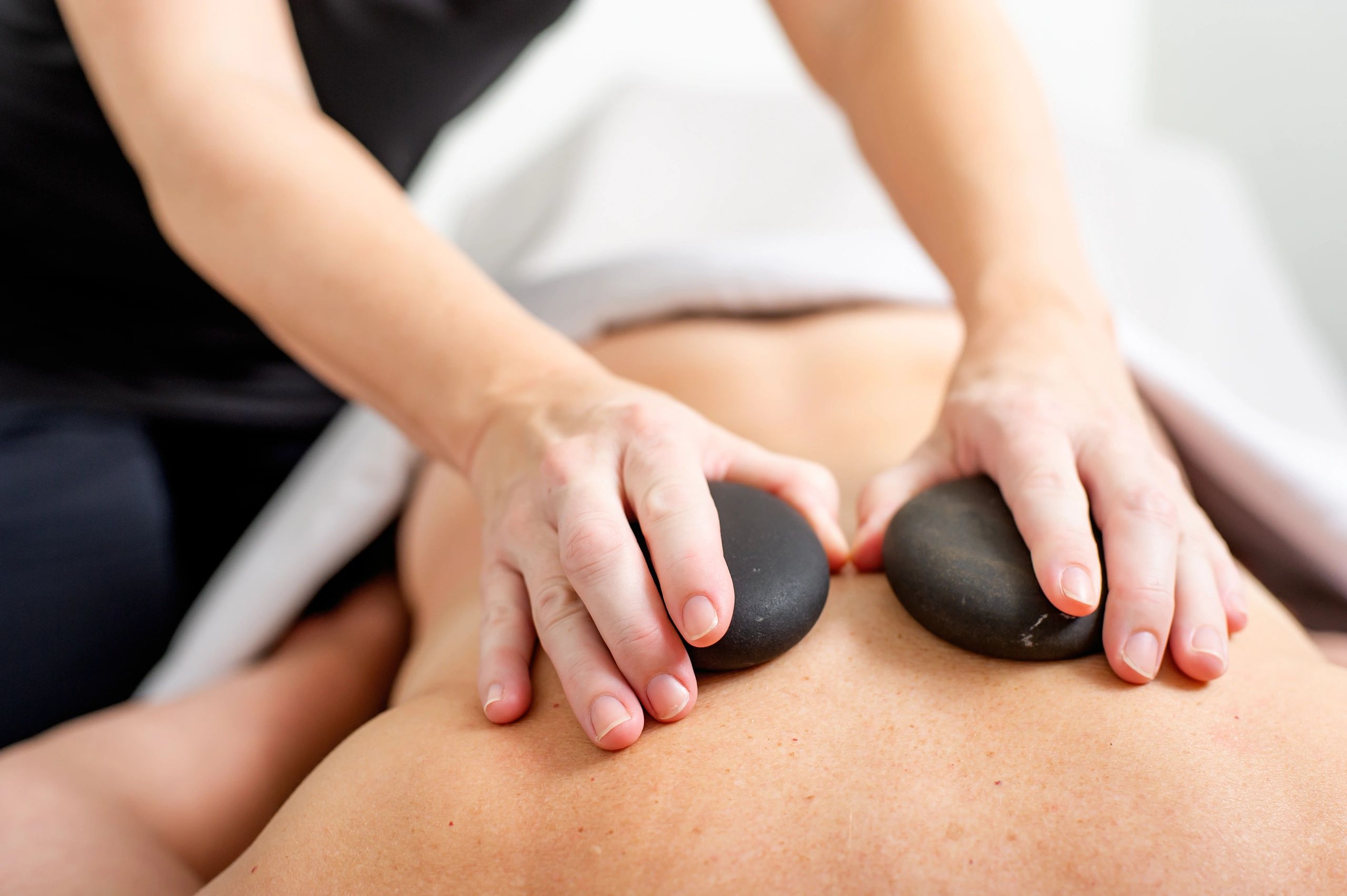 Hälsa + Wellness logo