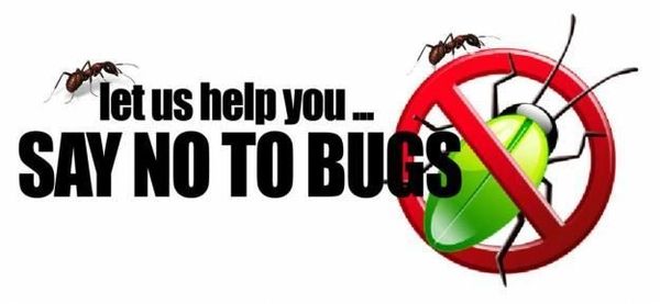 Pest Control Albuquerque, Pest control near me, exterminator