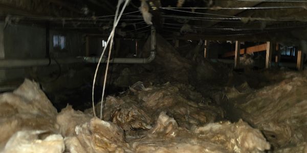 Crawlspace mold remediation