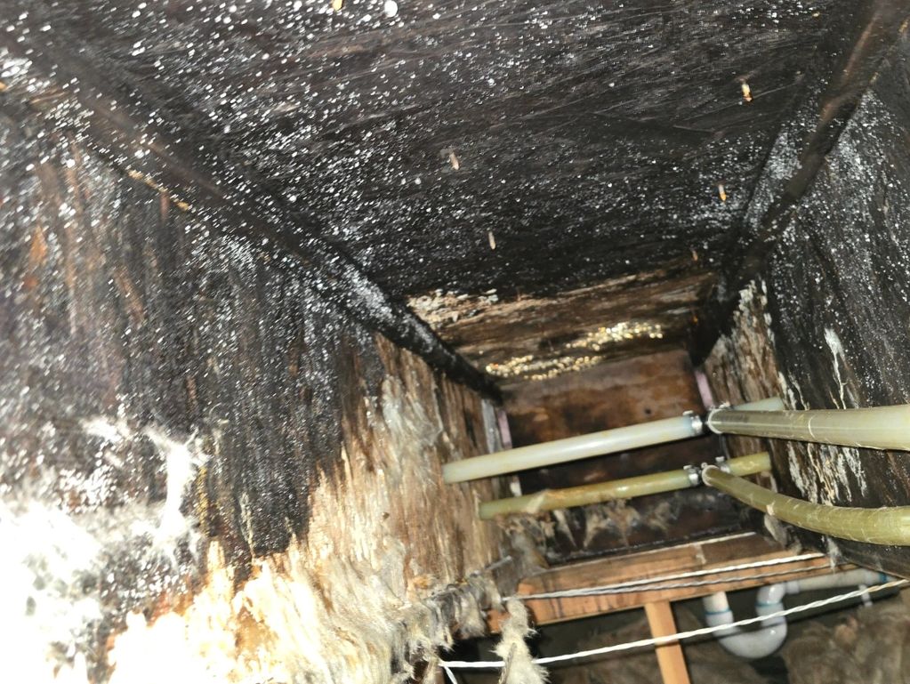 Inside a charred and damaged wooden crawl space with pipes and mold.