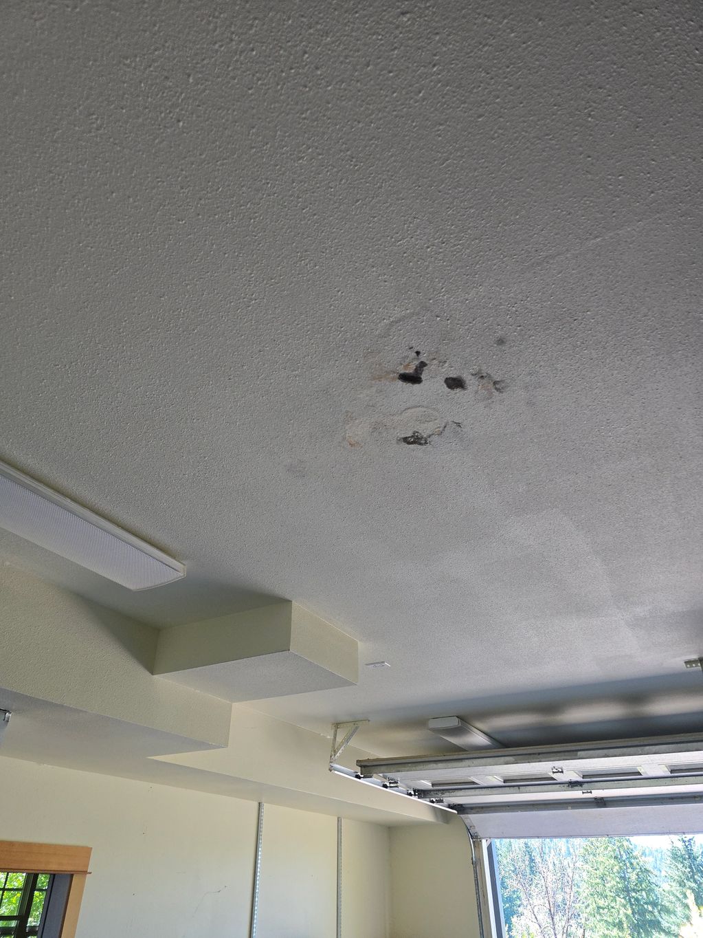 Potential microbial growth observed on garage ceiling drywall.