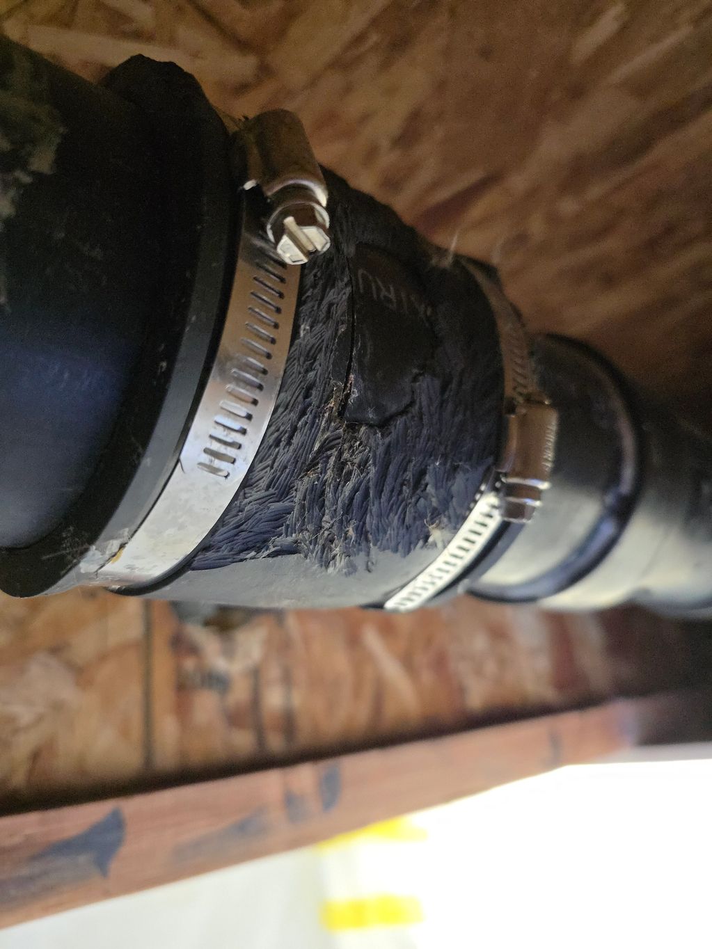 Rodent damage to fernco waste line fitting.