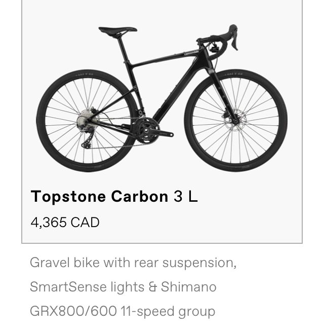 Topstone carbon on sale