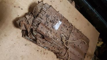 Cardboard worm safe zone