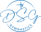 Denver School of Gymnastics