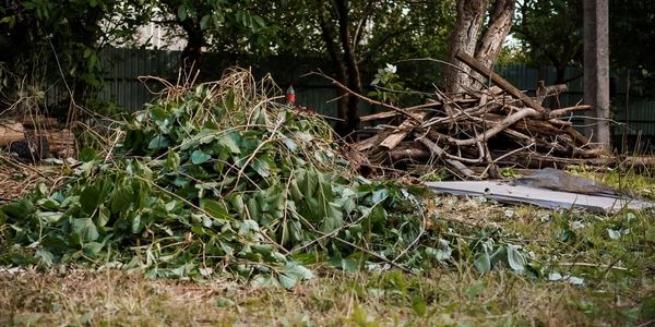 Cleanout Crew
Junk Removal Omaha
Property Clean Out Omaha
Yard Waste Removal Omaha
Dumpsters Omaha