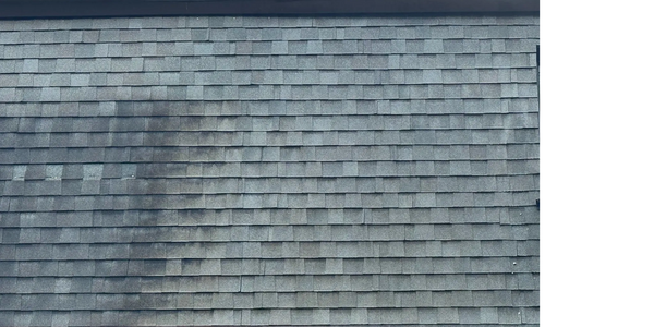 Roof Soft Wash