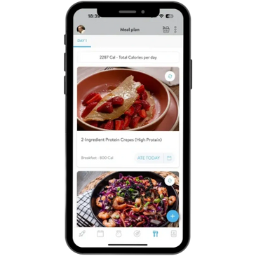 Trainerize meal plan on Andres Fitness app showing high protein breakfast recipe