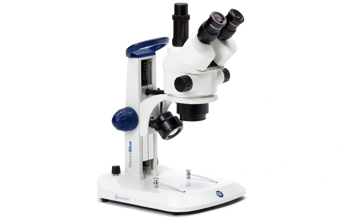 Euromex StereoBlue stereo microscope