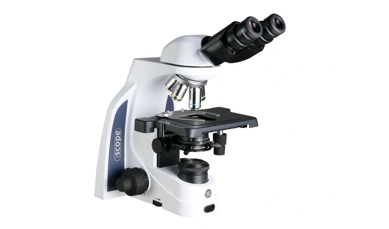 Euromex iScope upright microscope