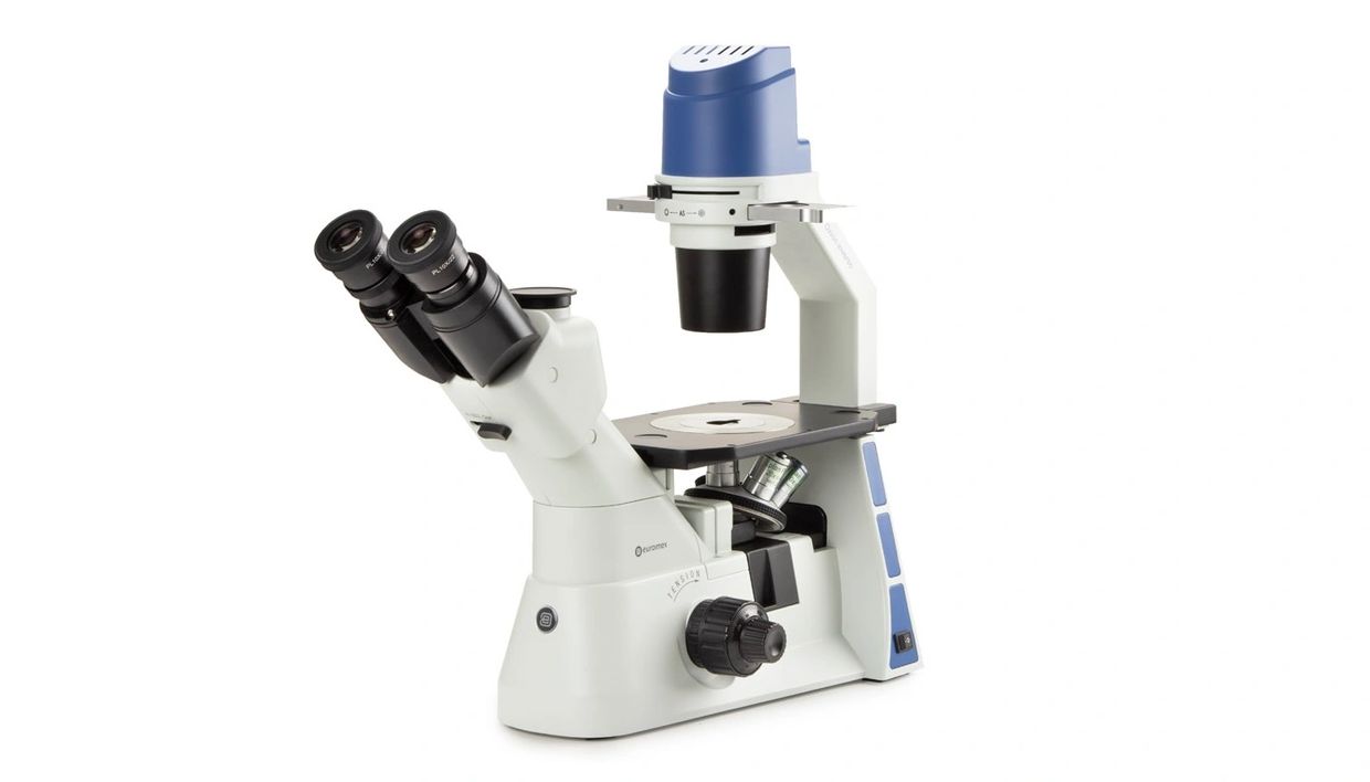 Euromex Oxion Inverso inverted microscope