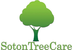 Soton Tree Care