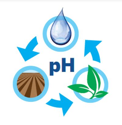 Representation of PH