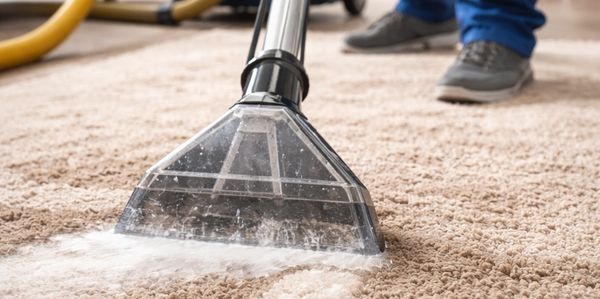 Carpet being cleaned with a steam cleaner.
