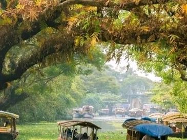 Boats navigating a lush, green river under a leafy arch.