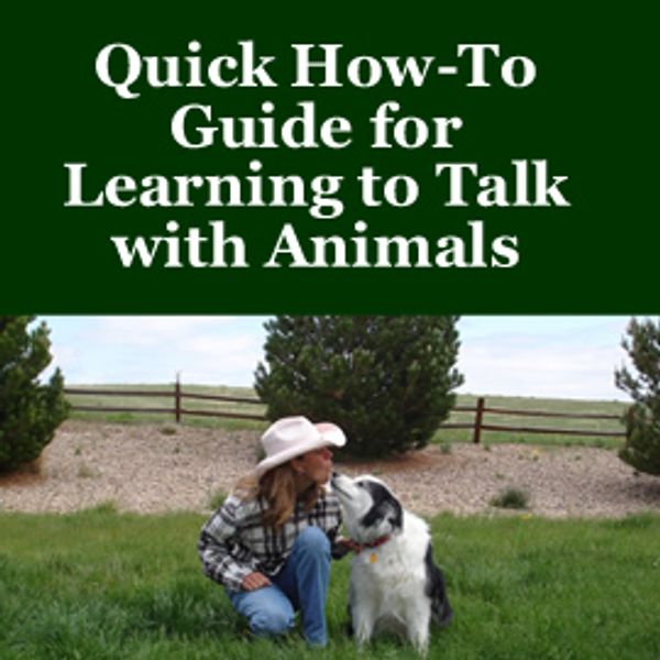 Quick How-To Guide for Learning to Talk with Animals