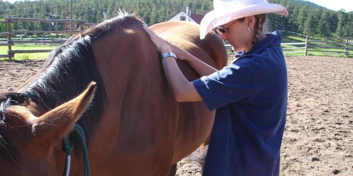 Kim performing Reiki on a horse