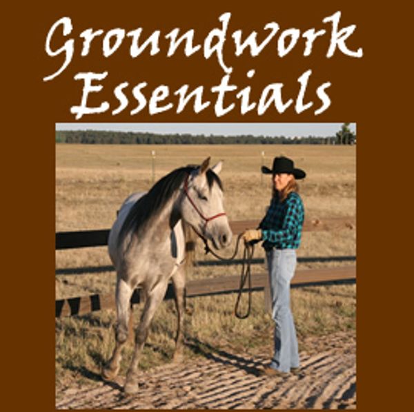 Groundwork Essentials Book