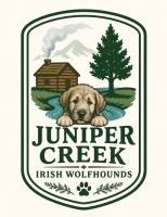 Juniper Creek Irish Wolfhounds