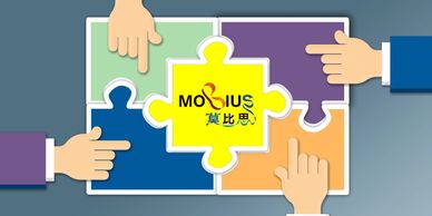 四只手拼合带有莫比乌斯字样的拼图。