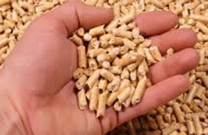 Select a fireplace or stove that is fueled by wood pellets.