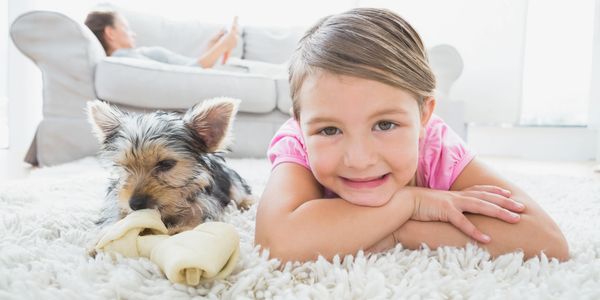pet friendly carpet cleaning