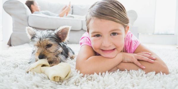 pet friendly carpet cleaning