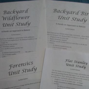 four of our unit studies: Flat Stanley, Forensics, Wildflower & Bird