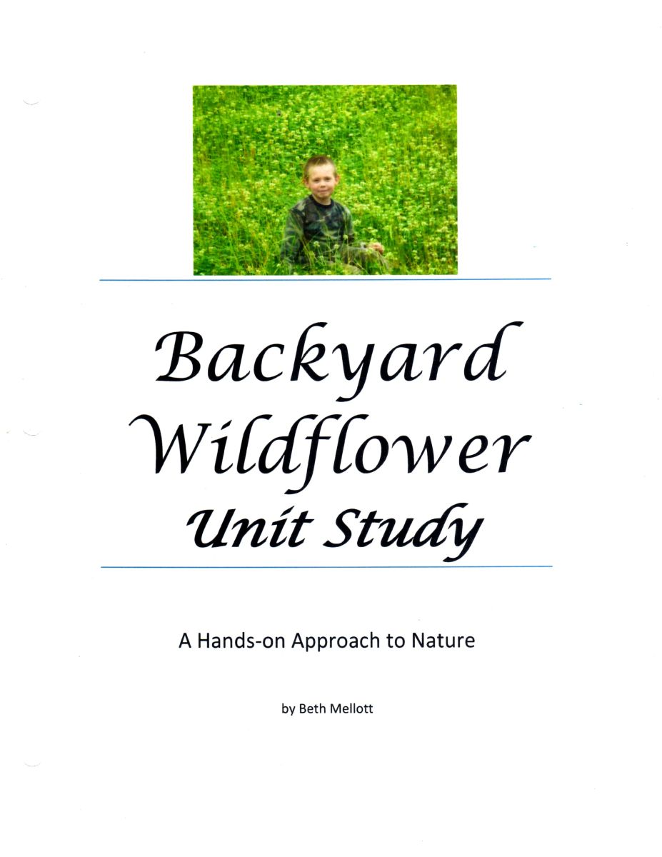 Backyard Wildflower Unit Study