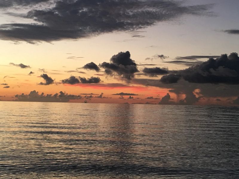 Sunrise Tai Chi photo 5