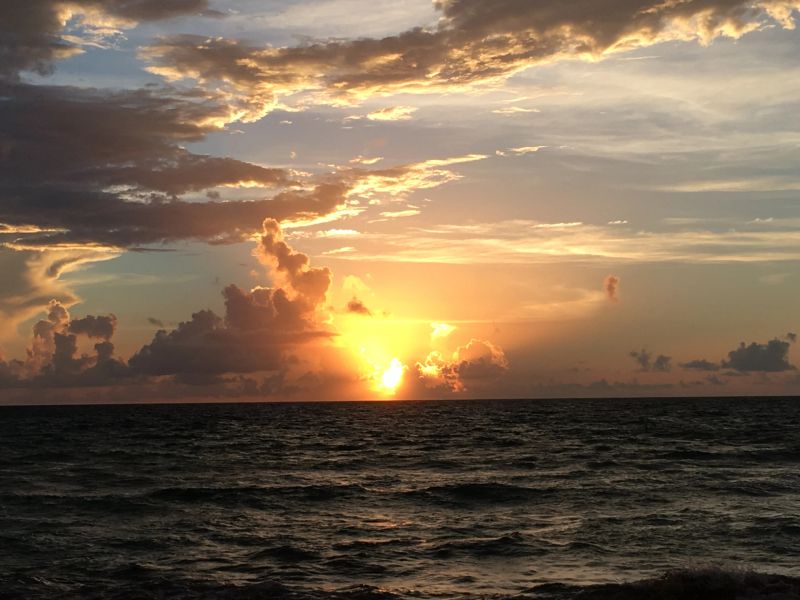 Sunrise Tai Chi photo 8