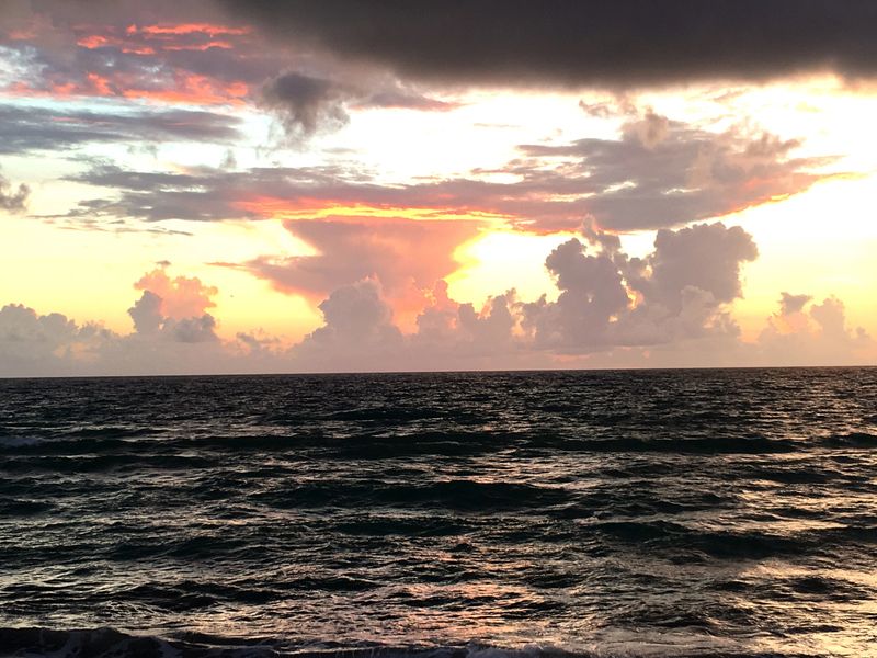 Sunrise Tai Chi photo 7