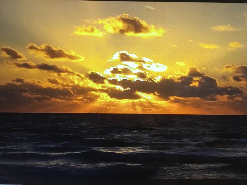 Sunrise Tai Chi photo 9