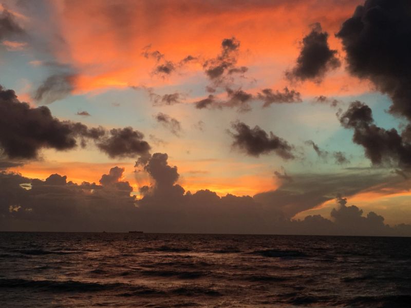 Sunrise Tai Chi photo 4