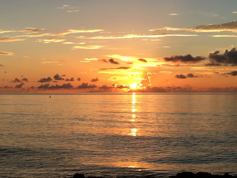 Sunrise Tai Chi photo 6