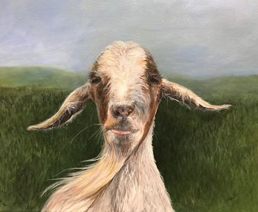  Oil on Birch Panel 
‘Bones’  at Bailey’s Dairy in Unionville, PA
Prints and notecards available 
