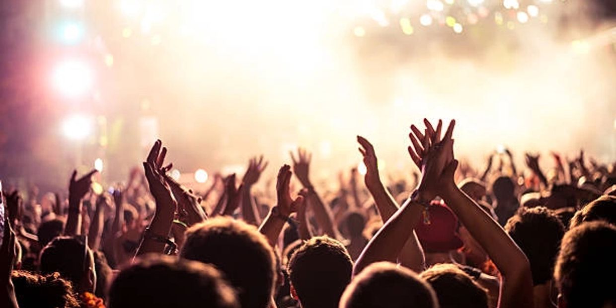 Excited crowd clapping and cheering at a lively concert.