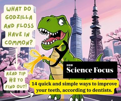 BBC Science Focus 14 quick ways to improve your teeth, according to dentists.