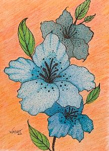 Bleu Botanicals blends bold blue florals with warm tones, featuring detailed ink work 
