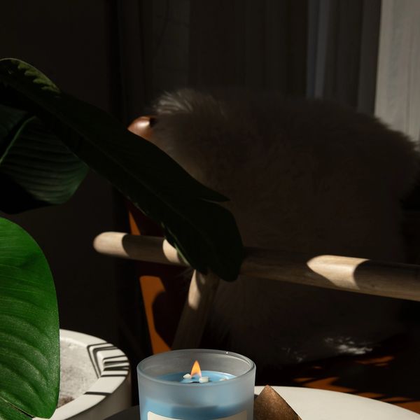 Candle burning in a cozy setting with plants and a chair.