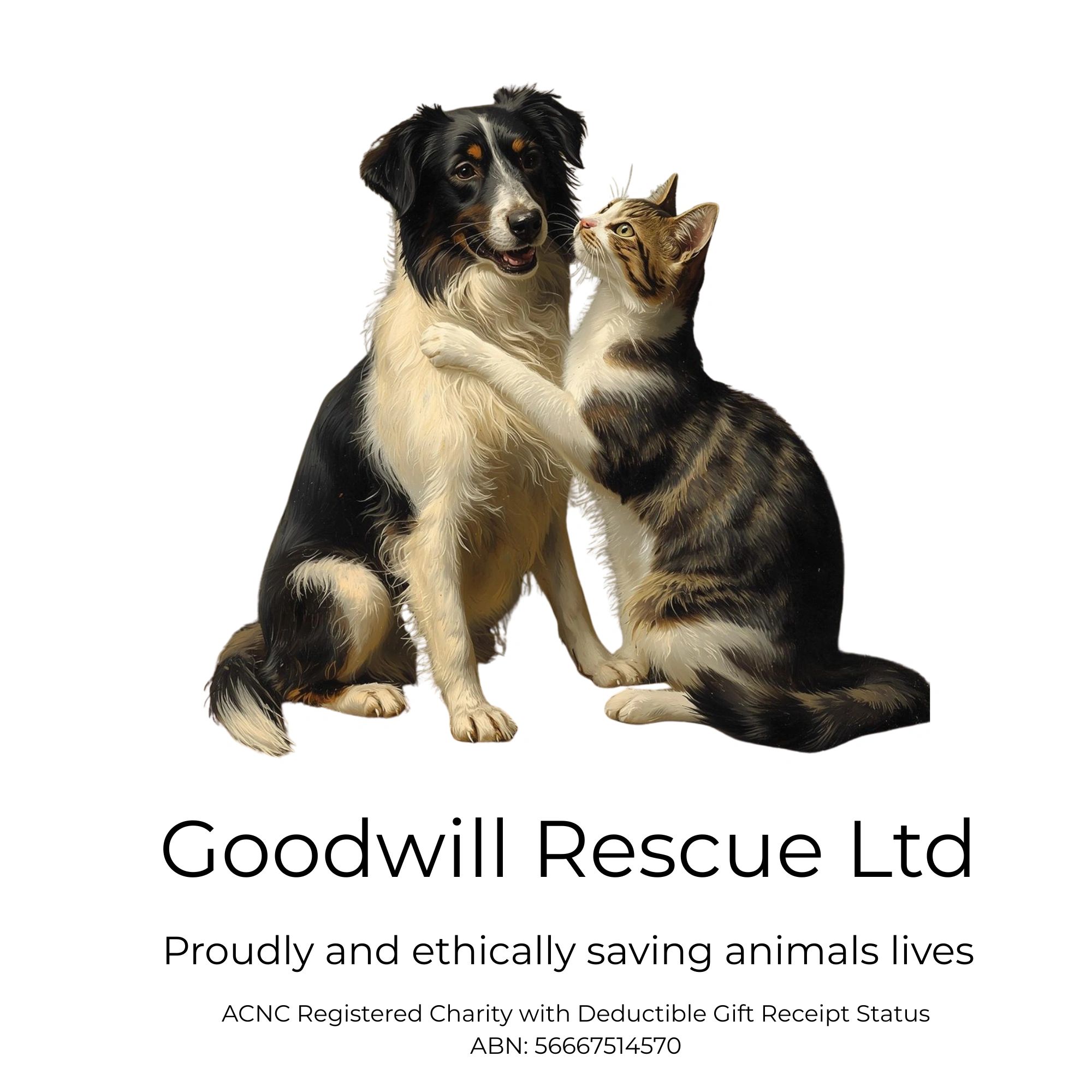 Goodwill Rescue Limited logo