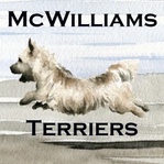 McWilliams Terriers - Concord, NH