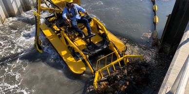 Waterway cleanup of trash and fish kill.