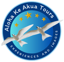 Aloha Ke Akua Tours