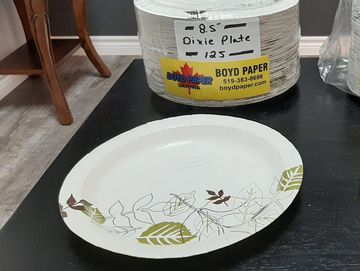 dixie plate