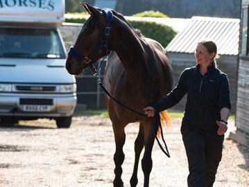Woman walking a bay horse