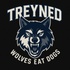 TREYNED LLC