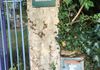 image68